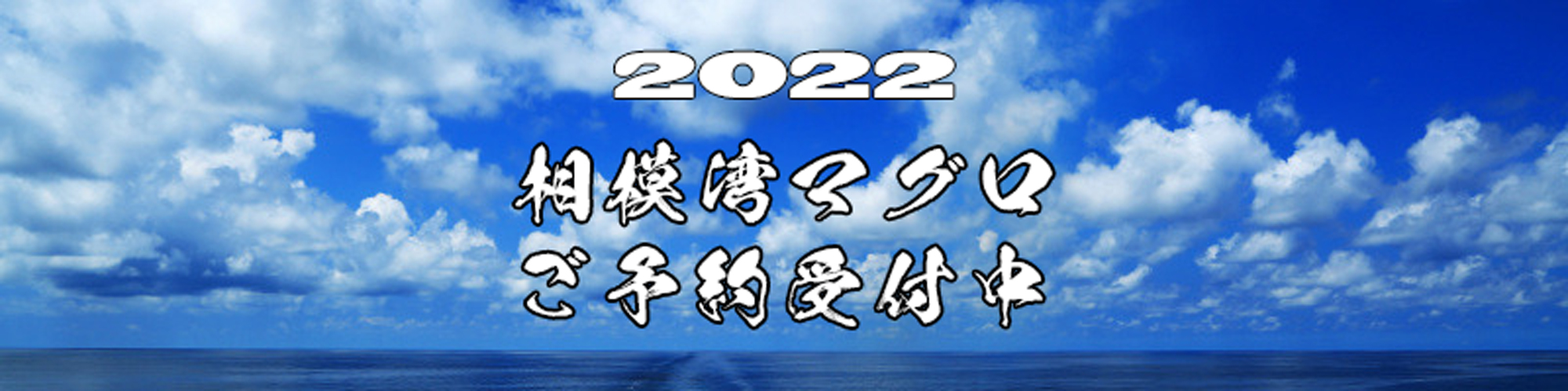 2022 Yellow Fin Tuna