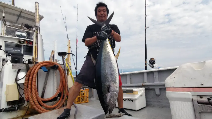 1回のキャスティングで見事にキハダマグロを釣りました。推定28kg