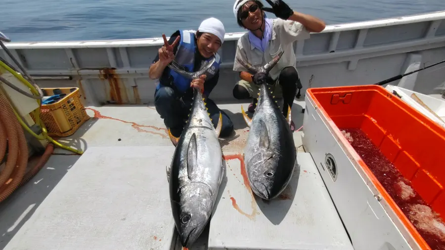 37kgと40kgのキハダマグロをルアーで釣った