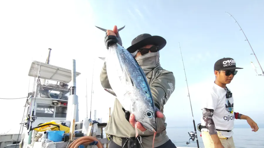 カツオ釣初挑戦で見事に4kgのカツオロを釣りました。