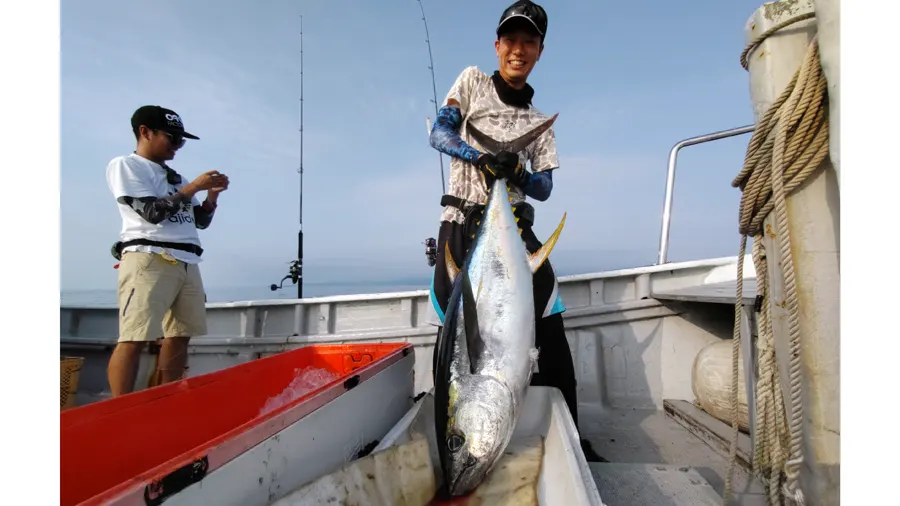 キハダ釣初挑戦で見事に30kgのキハダマグロを釣りました。