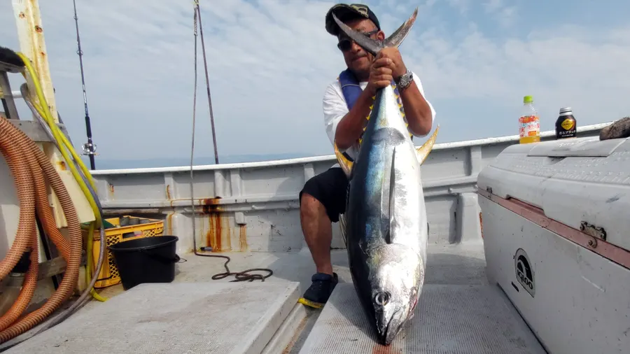 20240804和田さんはルアーで2匹のキハダマグロを釣りました。