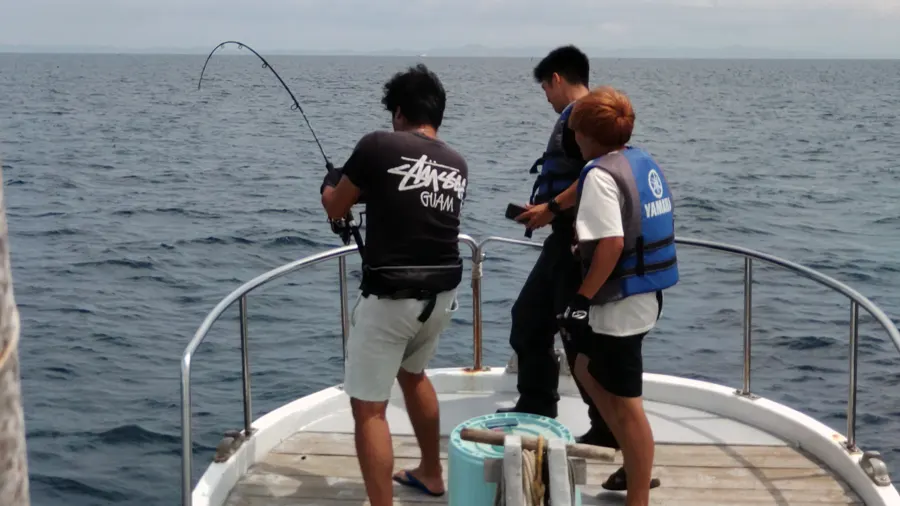 相模湾でキハダマグロを釣っている様子