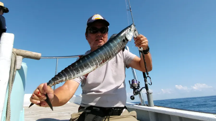 Caught Spanish mackerel on a lure